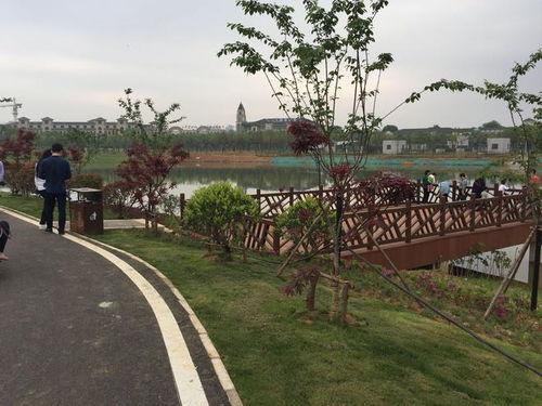 吃瓜网 燕山停车场情况,人流量大，停车难问题凸显