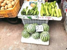 网盘显示的 吃瓜 吃瓜,“吃瓜”背后的文化现象