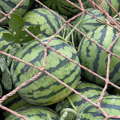 高质量网红吃瓜视频大全