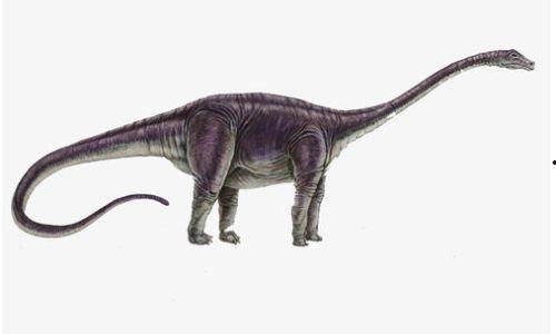 网红吃瓜恐龙图片大全,网红吃瓜恐龙萌态大盘点