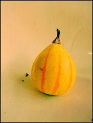 网红新沂吃瓜,揭秘网络红人的幕后生活