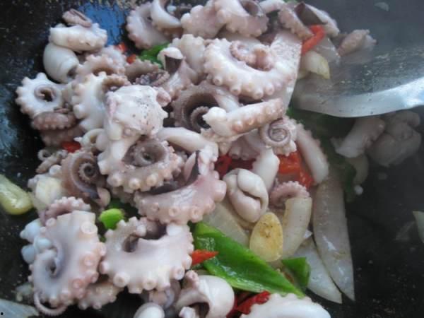 网红八爪鱼事件吃瓜微博