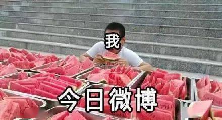 吃瓜网红事件最新消息,最新进展揭秘，真相逐渐浮出水面